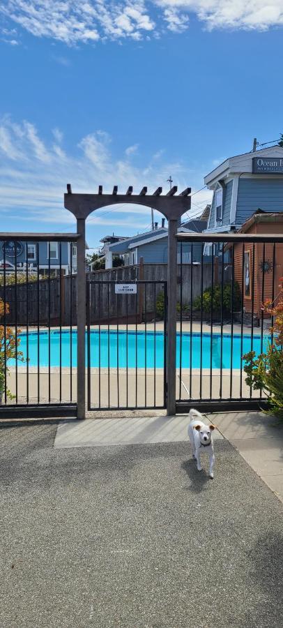Sunny Cove Motel Capitola Exterior foto